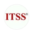 信息技术服务标准ITSS